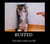 Busted-picture[1]_tiny